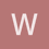 Wild_Goose
