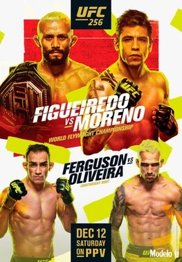 UFC_256_poster